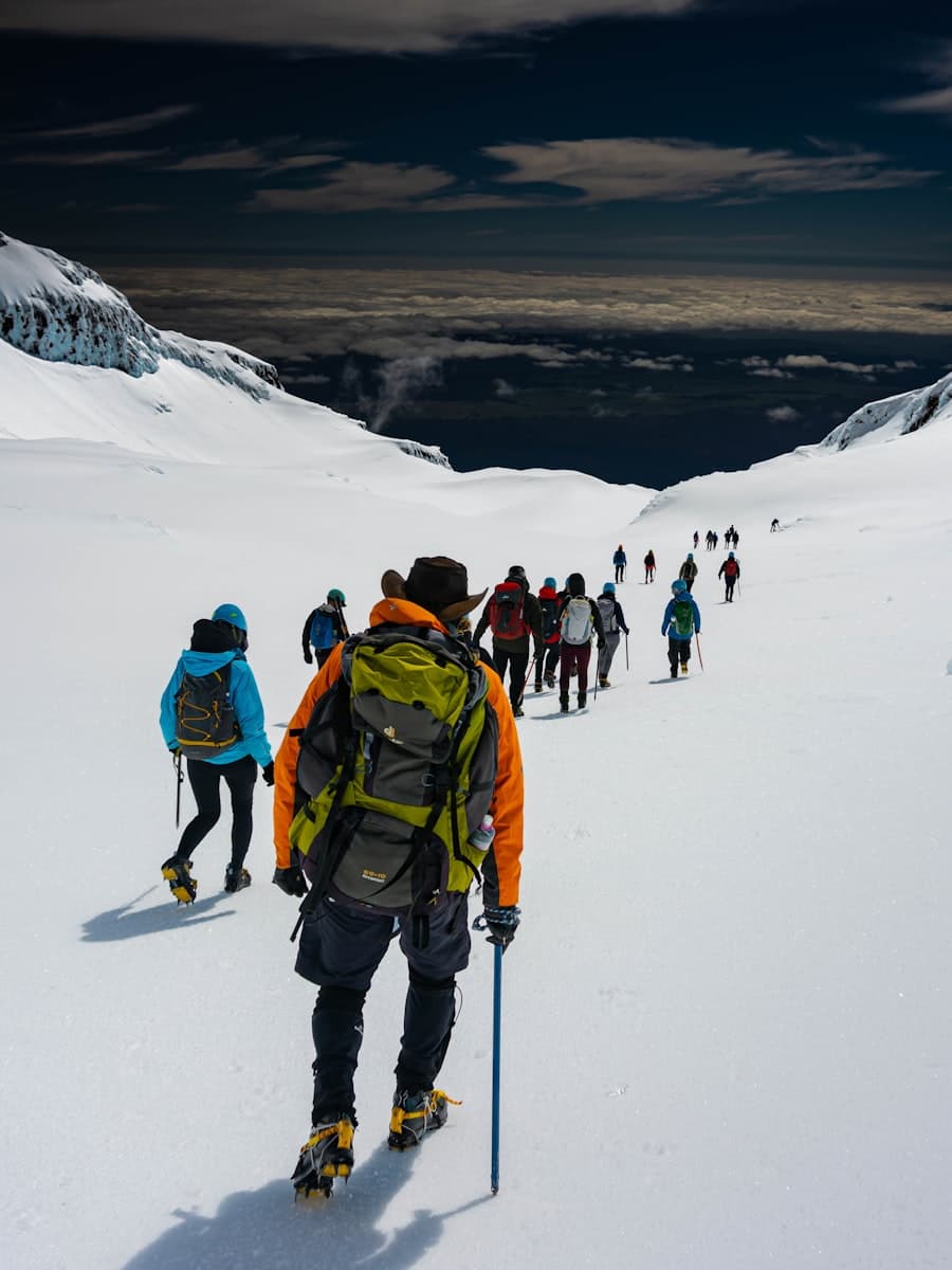 Group of travelers with their guide